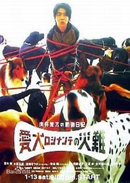 向井荒太的动物日记(蓝光)