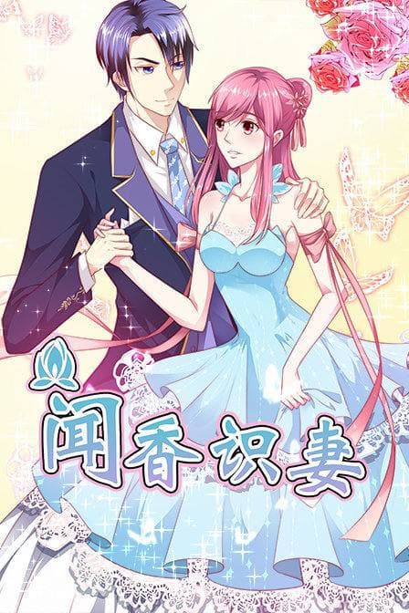 闻香识妻第一季动态漫画(蓝光)