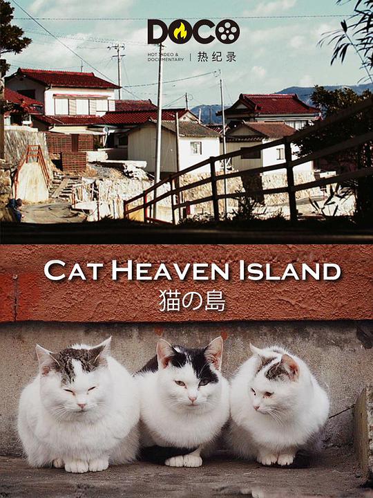 猫之岛（1080）