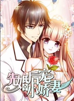 先婚后宠小娇妻第一季动态漫画(蓝光)