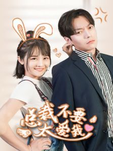 总裁不要太爱我（1080）