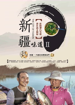 新疆味道第二部(1080)