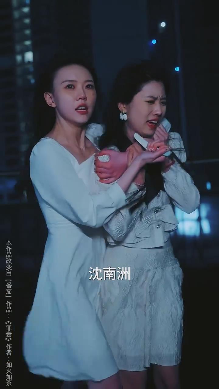 沈总夫人她罪不至死（1080）