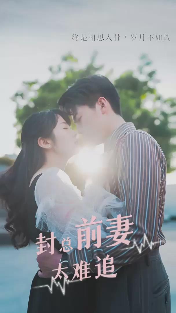 封总前妻太难追(1080)