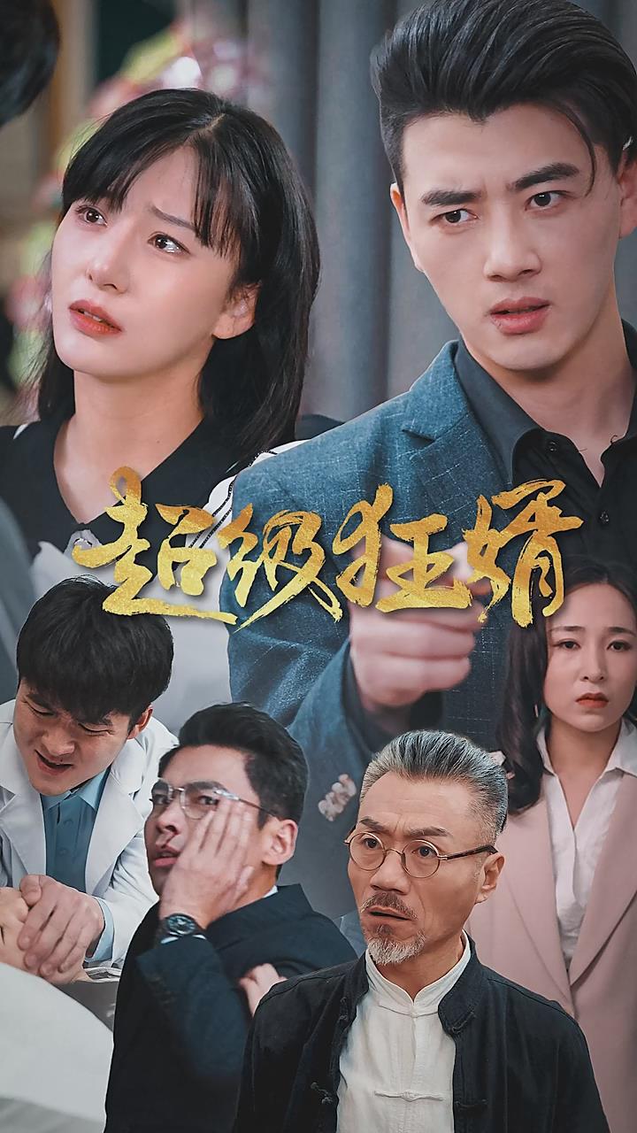 超级狂婿(蓝光)