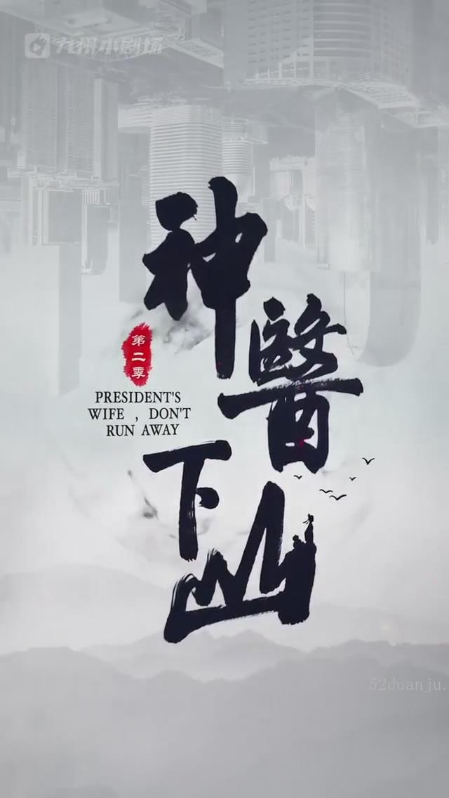 极品医婿出山第二季(蓝光)