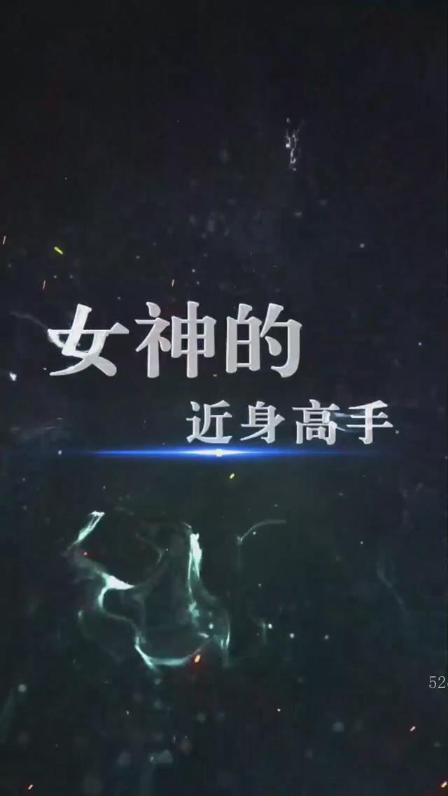 女神的近身高手(4K)