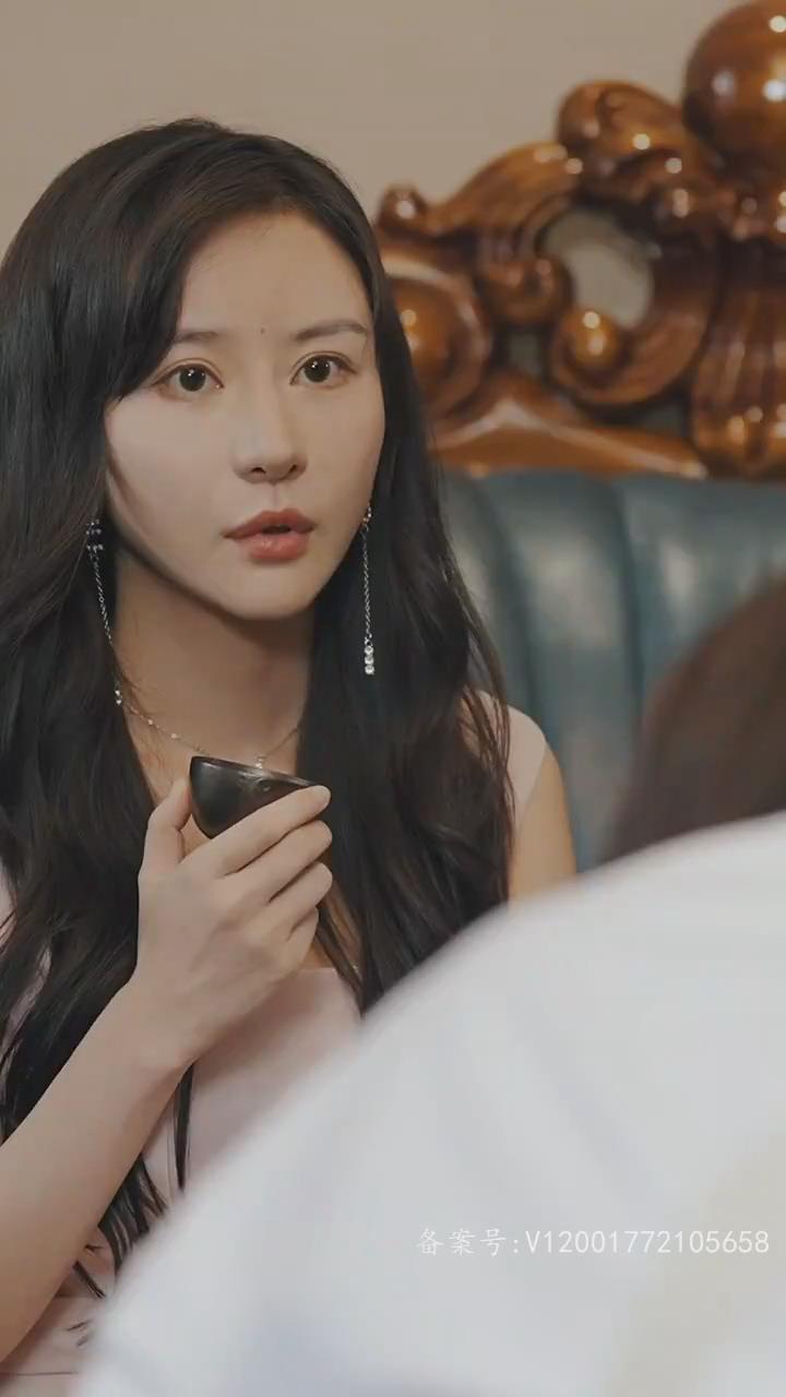 天师下山之完美赘婿(蓝光)