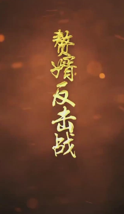 赘婿反击战(蓝光)