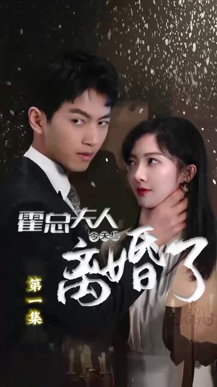 霍总今天夫人提离婚了吗(1080)