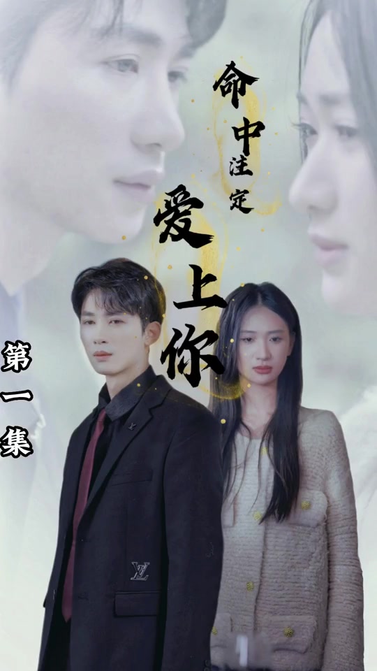 命中注定爱上你完结(1080)