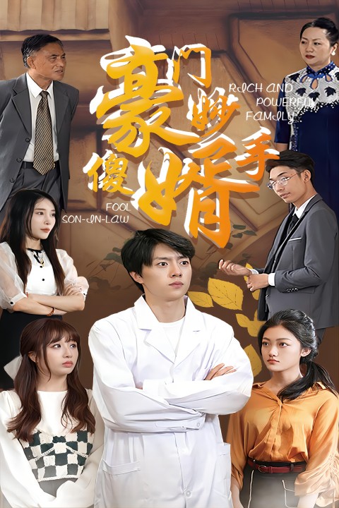 豪门妙手傻婿(蓝光)