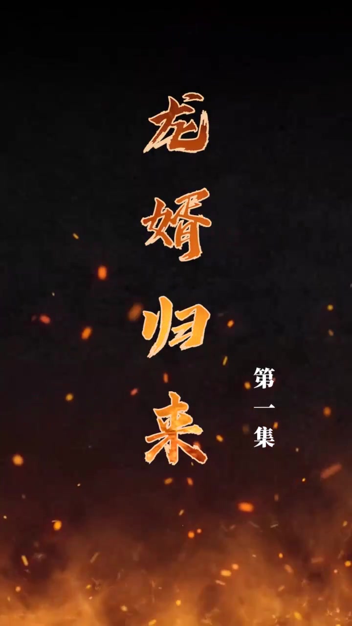 龙婿归来(蓝光)