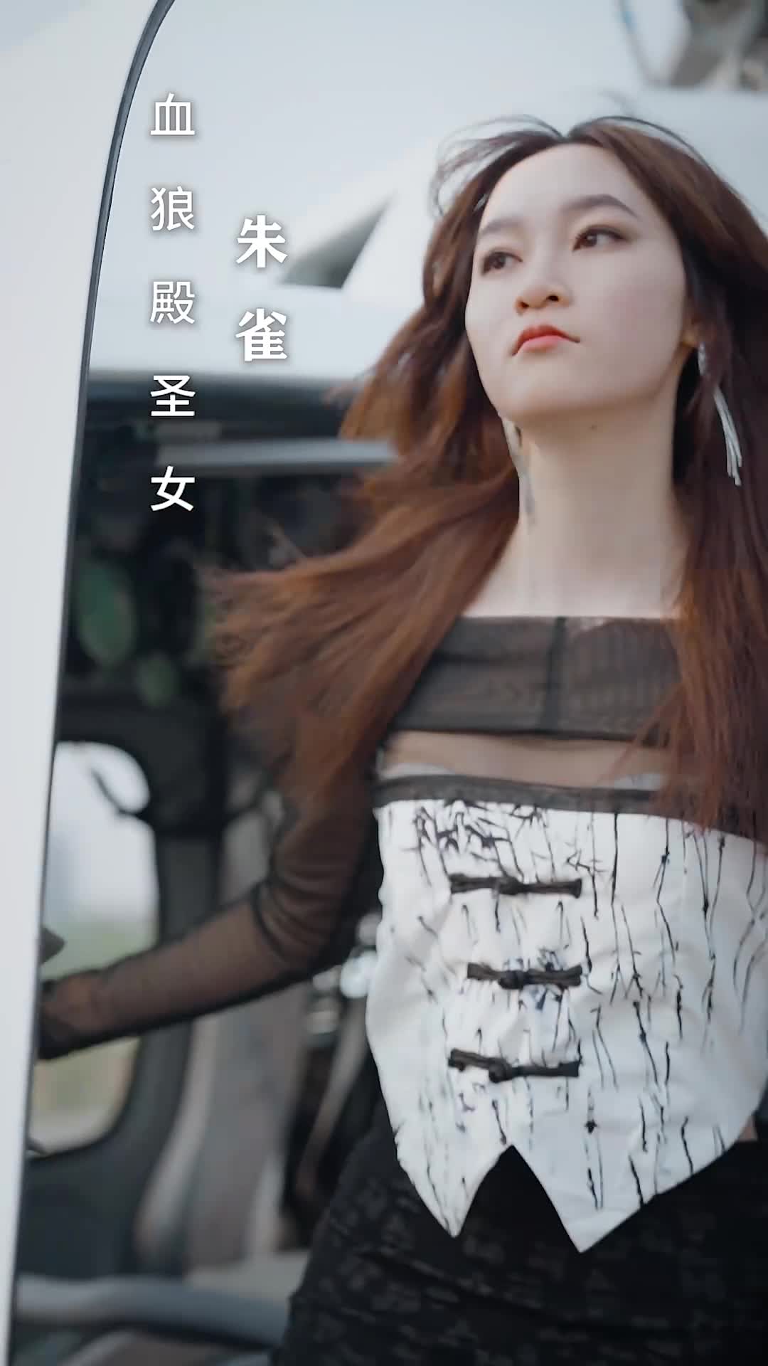 特种上门女婿（蓝光）