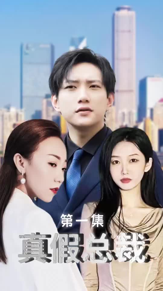 真假总裁（1080）