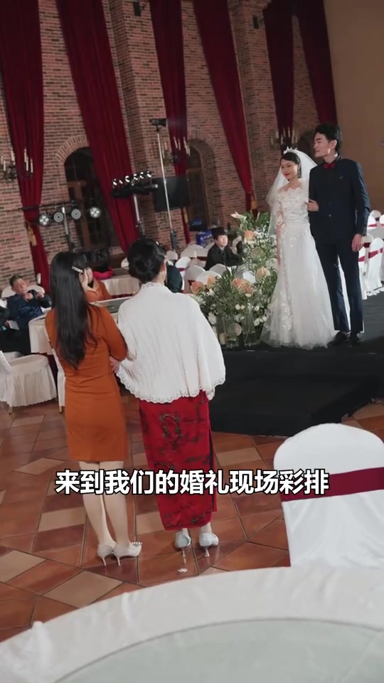 天龙归来(1080)
