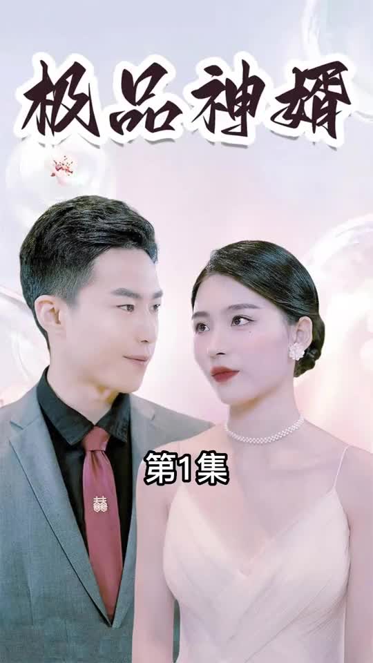 极品神婿(1080)
