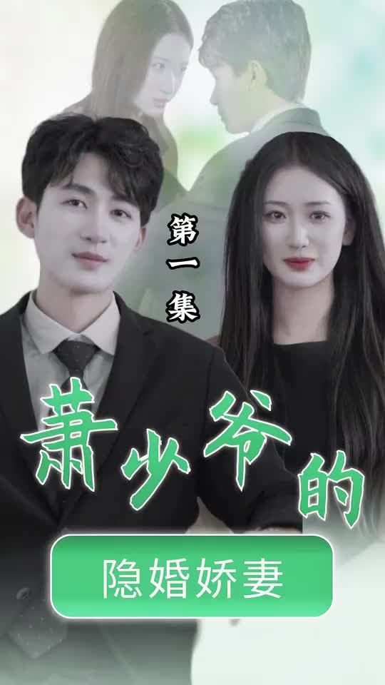 萧少爷的隐婚娇妻（1080）
