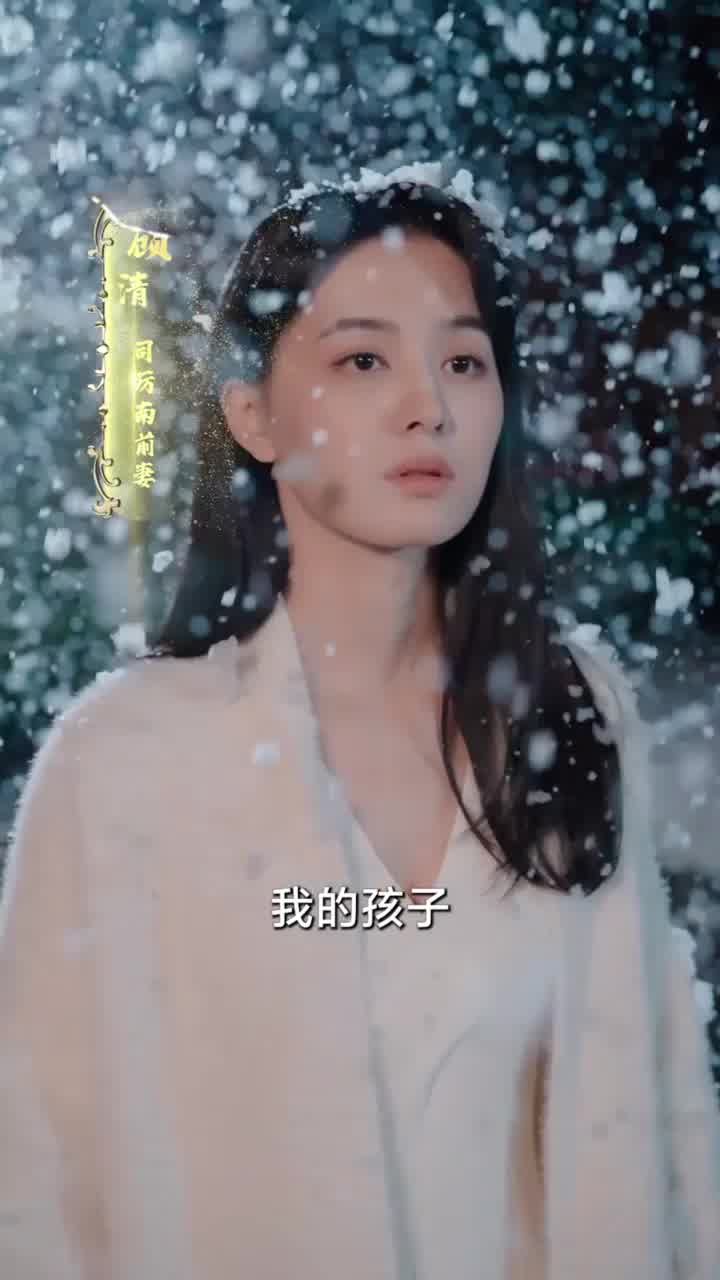 司少请恕夫人无罪(1080)