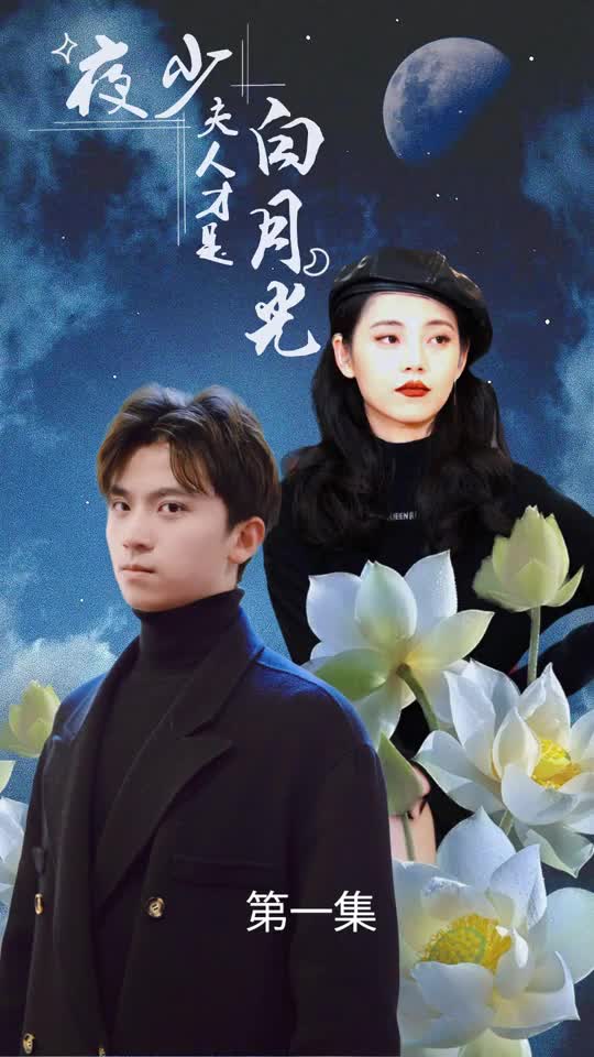 夜少夫人才是白月光(蓝光)