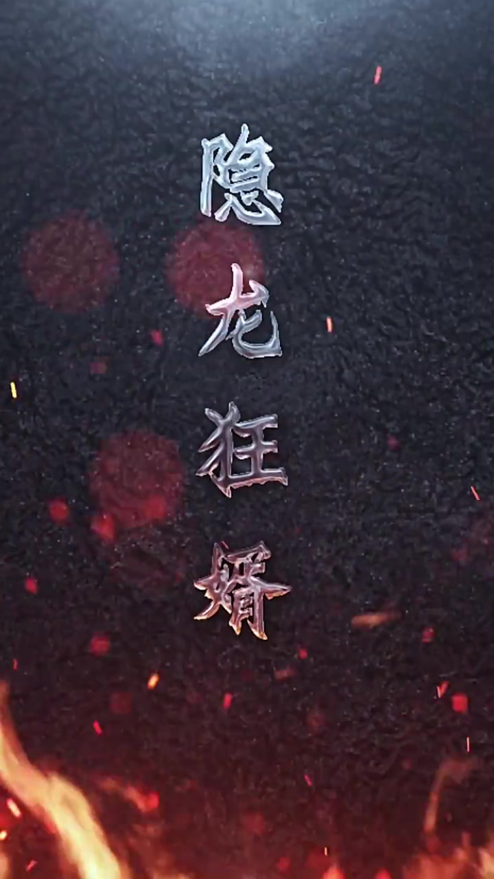 新版隐龙狂婿(4K)