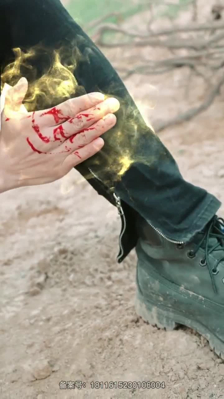 姐夫是药圣（蓝光）