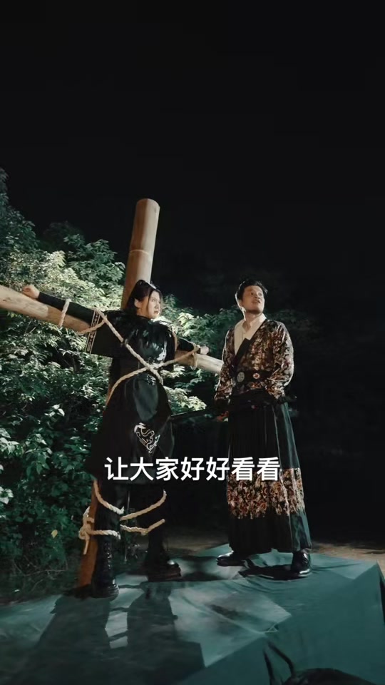 镇世龙帅(蓝光)