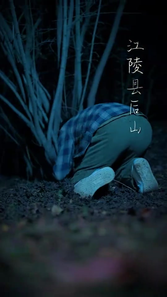 都市无极医仙（蓝光）