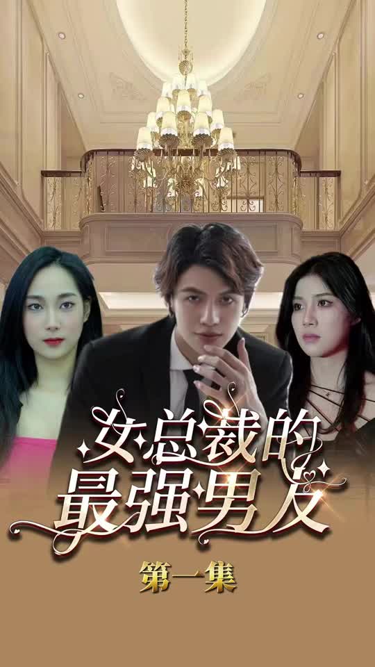 女总裁的最强男友(蓝光)