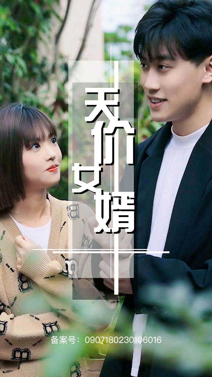 天价女婿(蓝光)