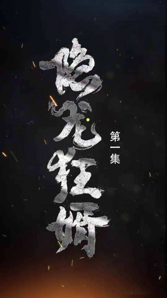 隐龙狂婿(4K)