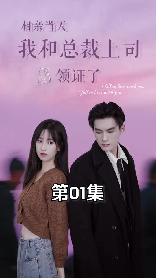 相亲当天我和总裁上司领证了(1080)