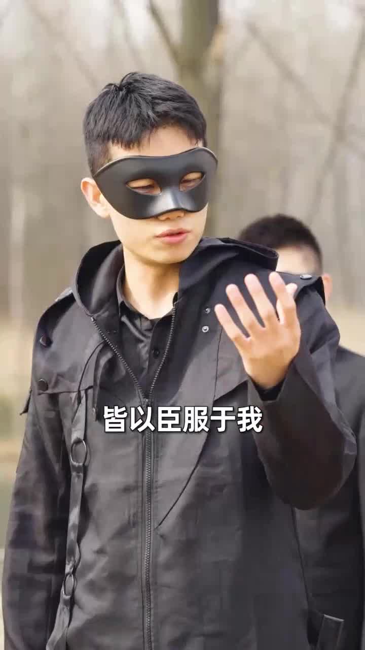 龙印风云(1080)