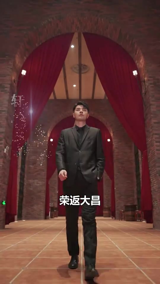 傲视神婿混都市(蓝光)