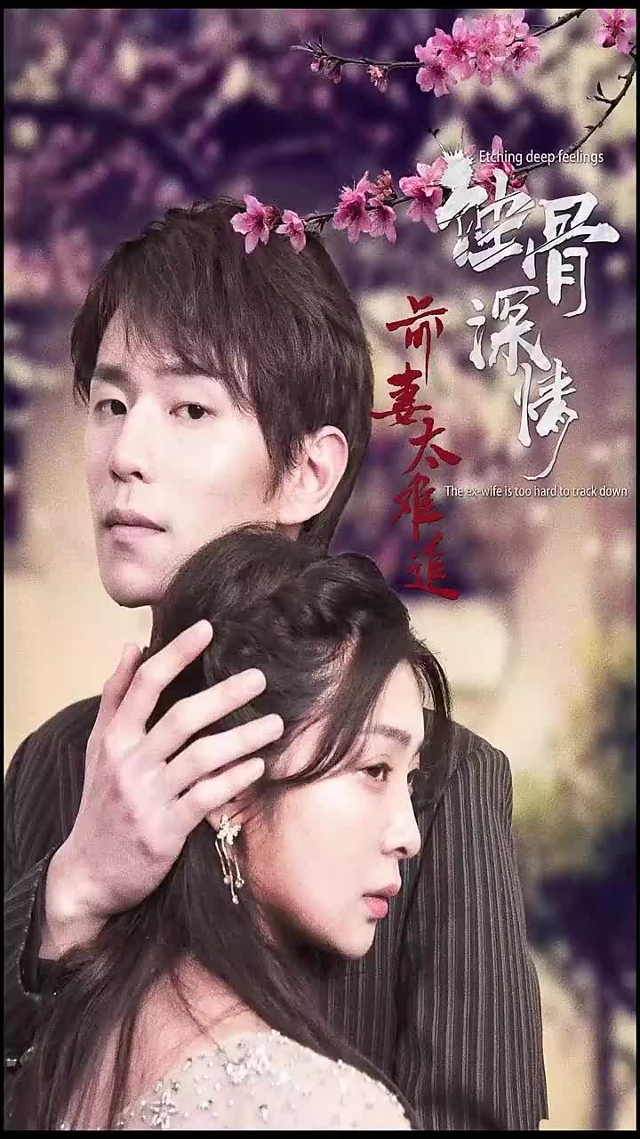 蚀骨情深前妻太难追(1080)