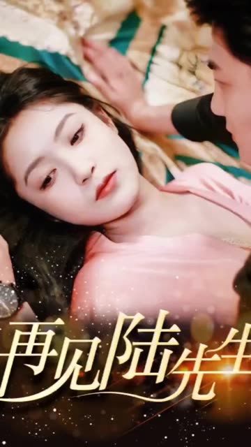 再见陆先生（蓝光）