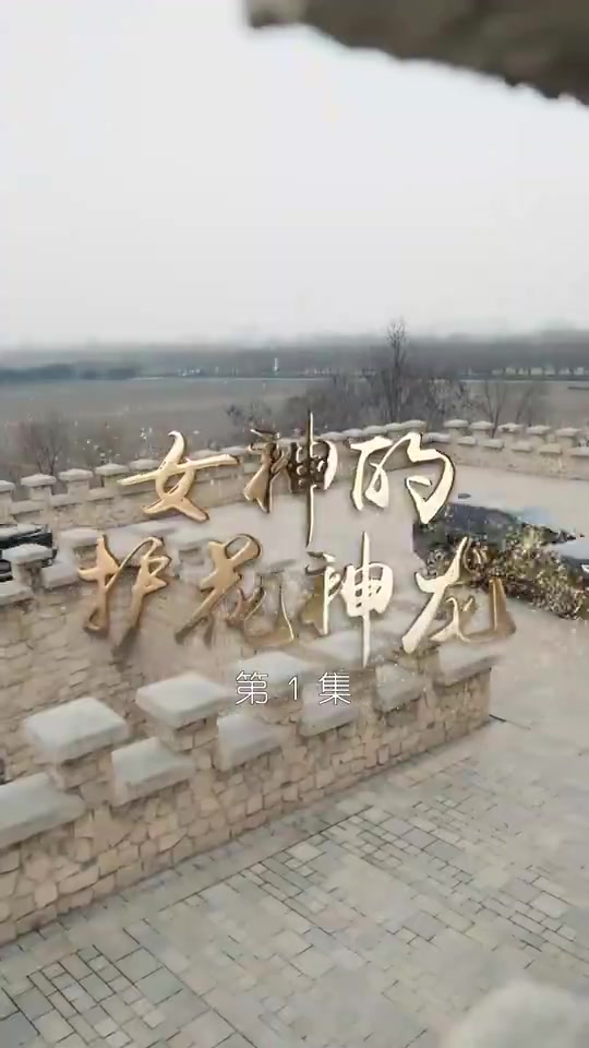 龙帅归来(1080)