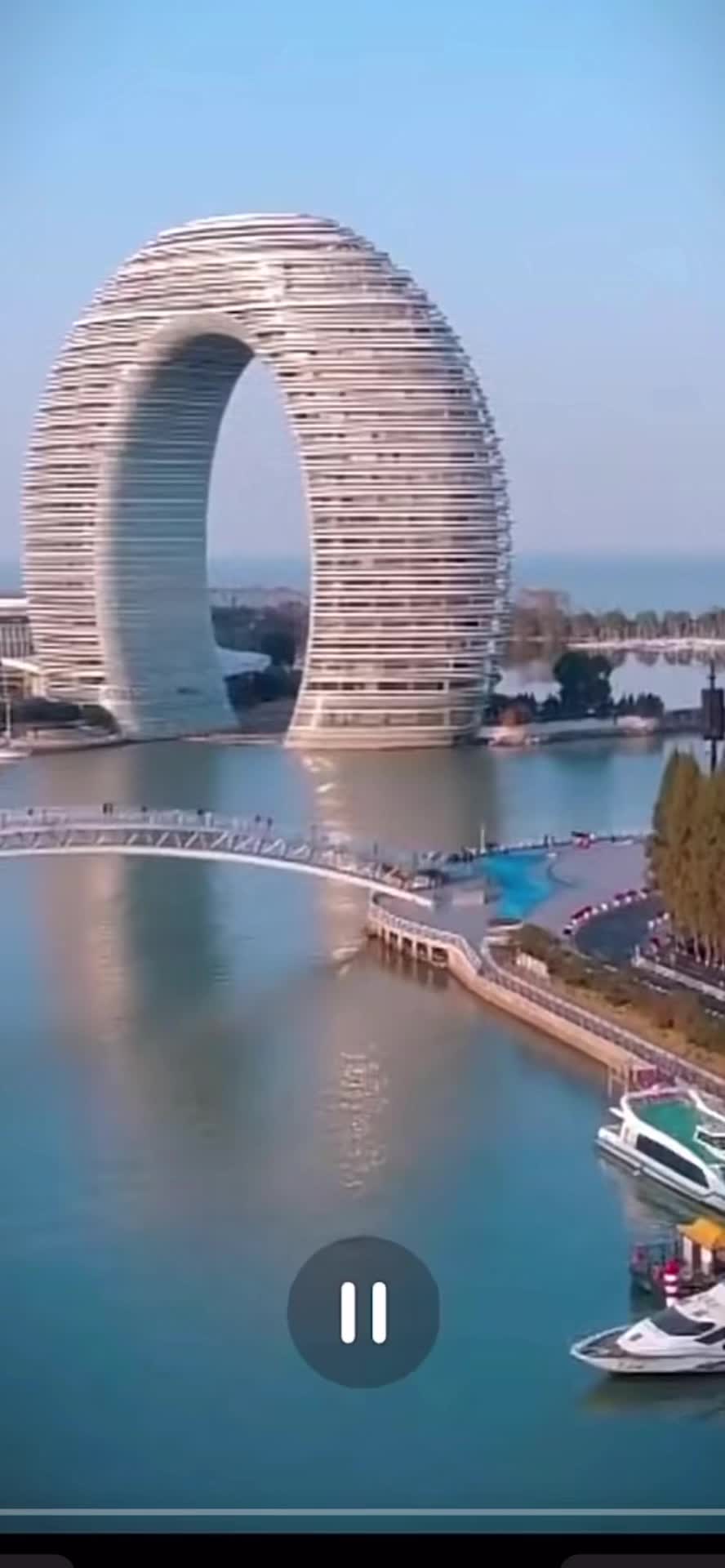 龙门狂婿(1080)
