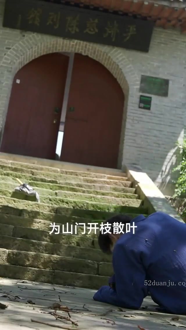 极品医婿出山第一季(4K)