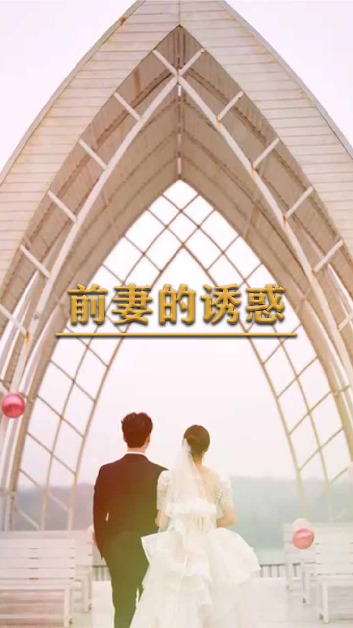 前妻的诱惑(1080)