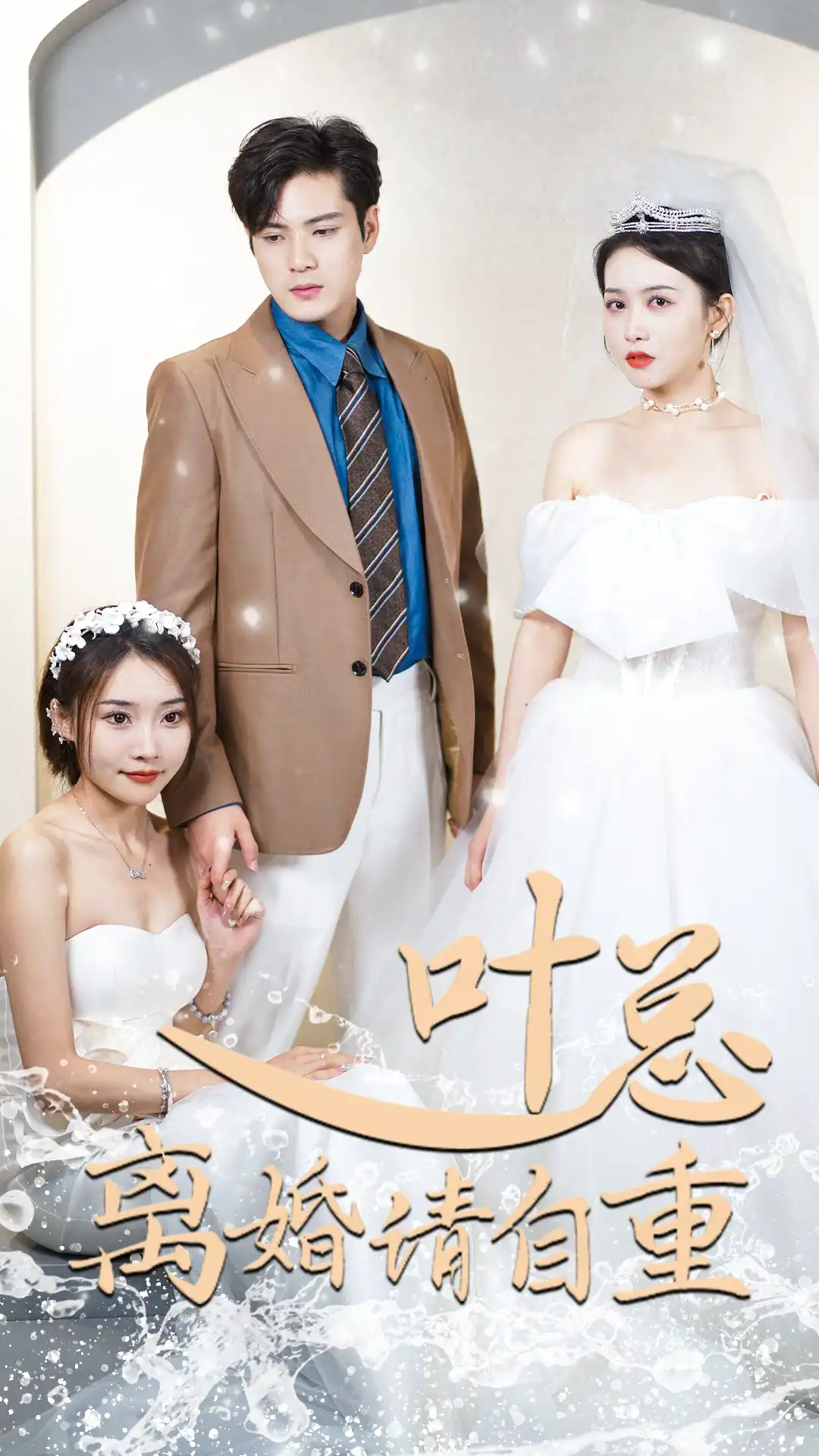 叶总离婚请自重(蓝光)