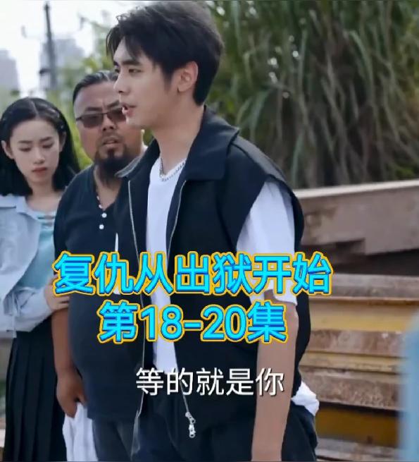 复仇从出狱开始(1080)
