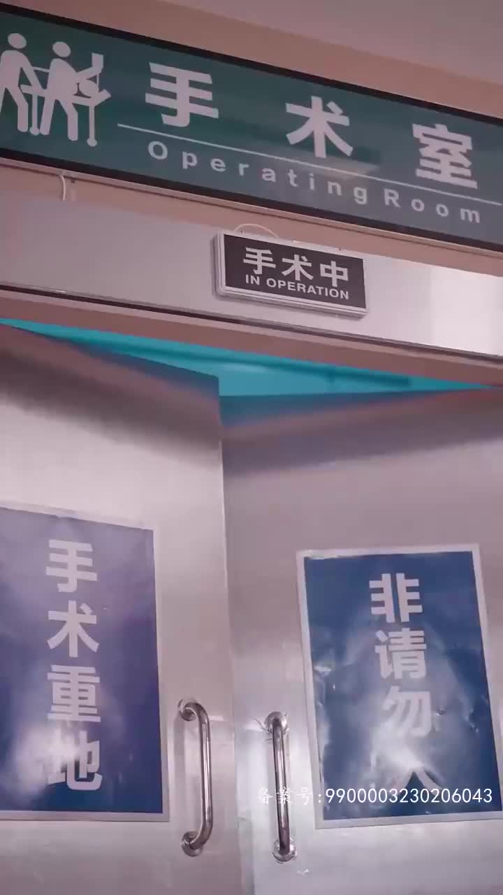 顾总太太又被关进园区了（1080）