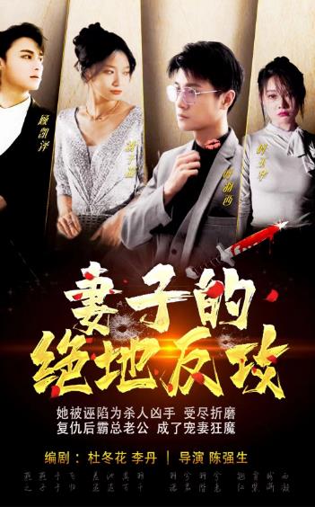 妻子的绝地反攻（蓝光）