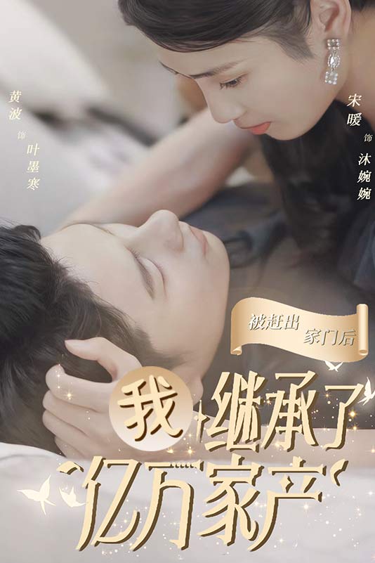 被赶出家门后我继承了亿万家产（蓝光）