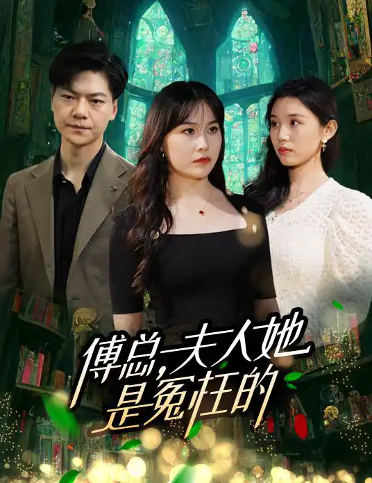 傅总夫人她是冤枉的(蓝光)