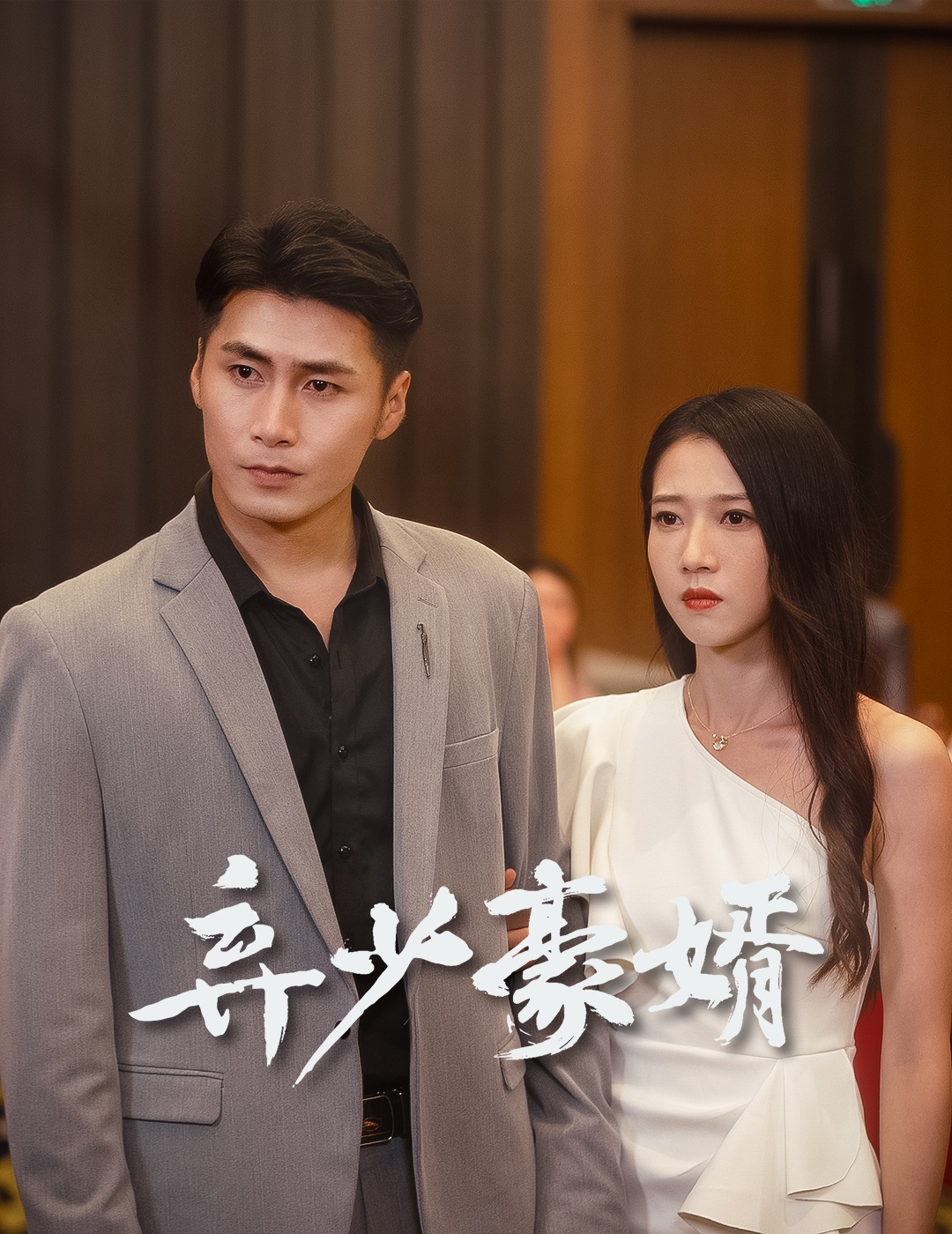弃少豪婿（蓝光）