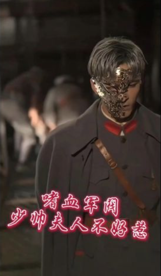 嗜血军团少帅夫人不好惹（蓝光）