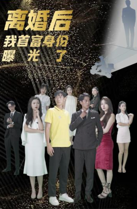 离婚后我首富的身份曝光了(1080)