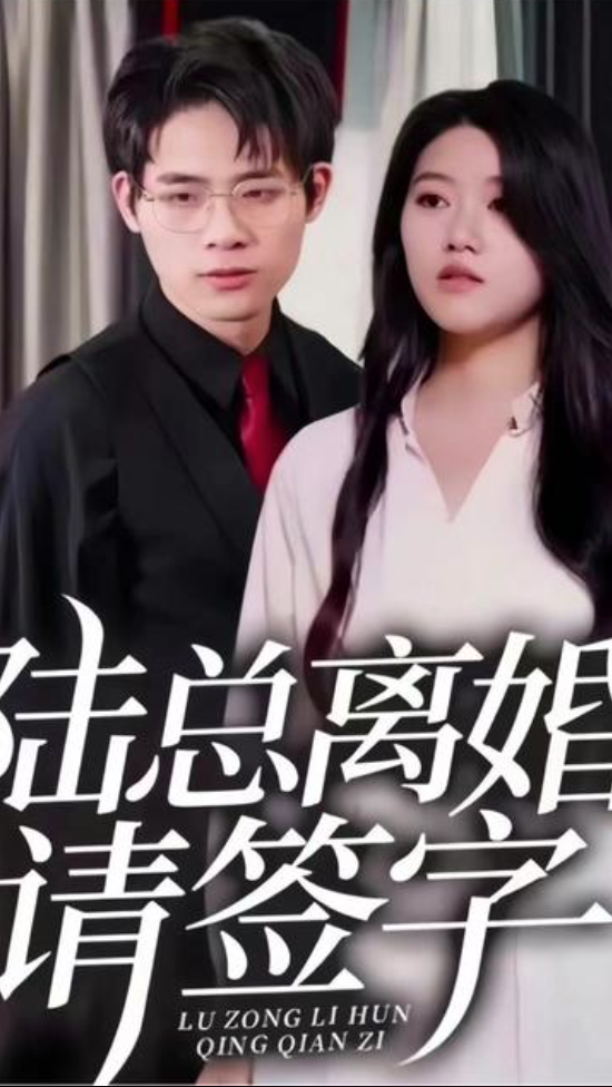陆总离婚请签字(4K)